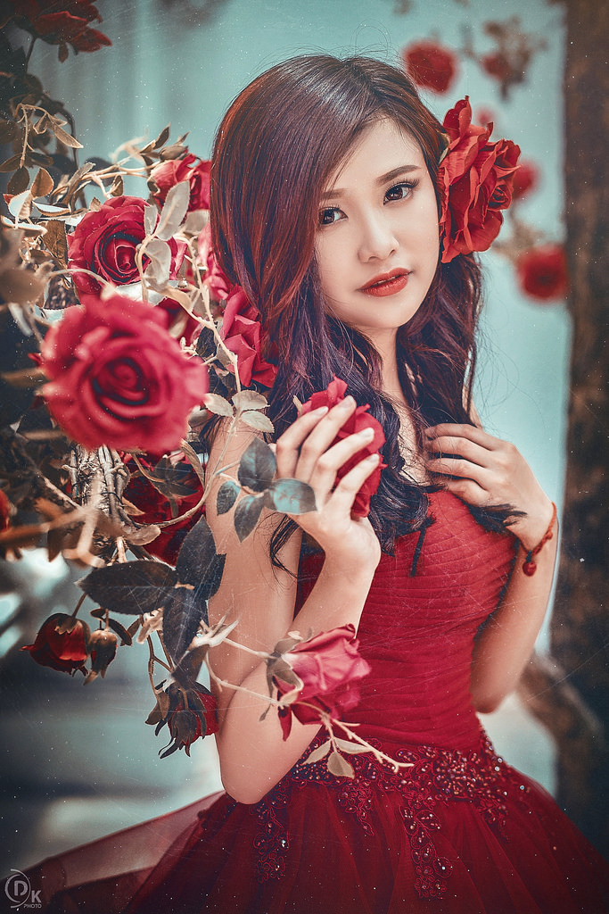 tolove免费观看第二季
